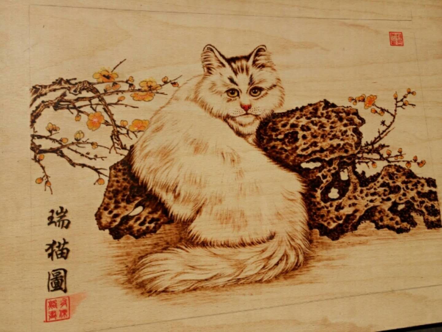 微信图片_20180702112248.jpg