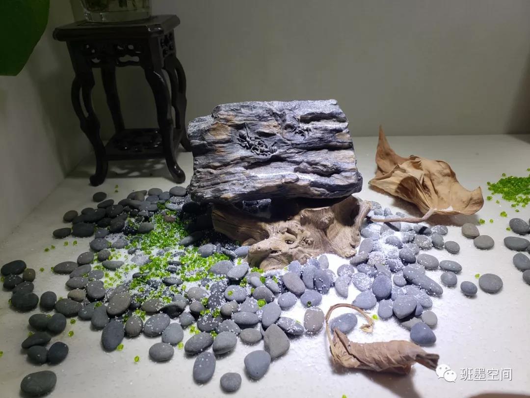 微信图片_20180910105314.jpg