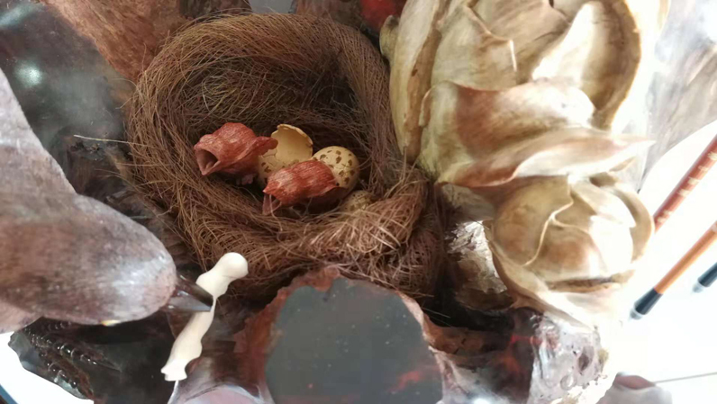 微信图片_20181031091936.jpg