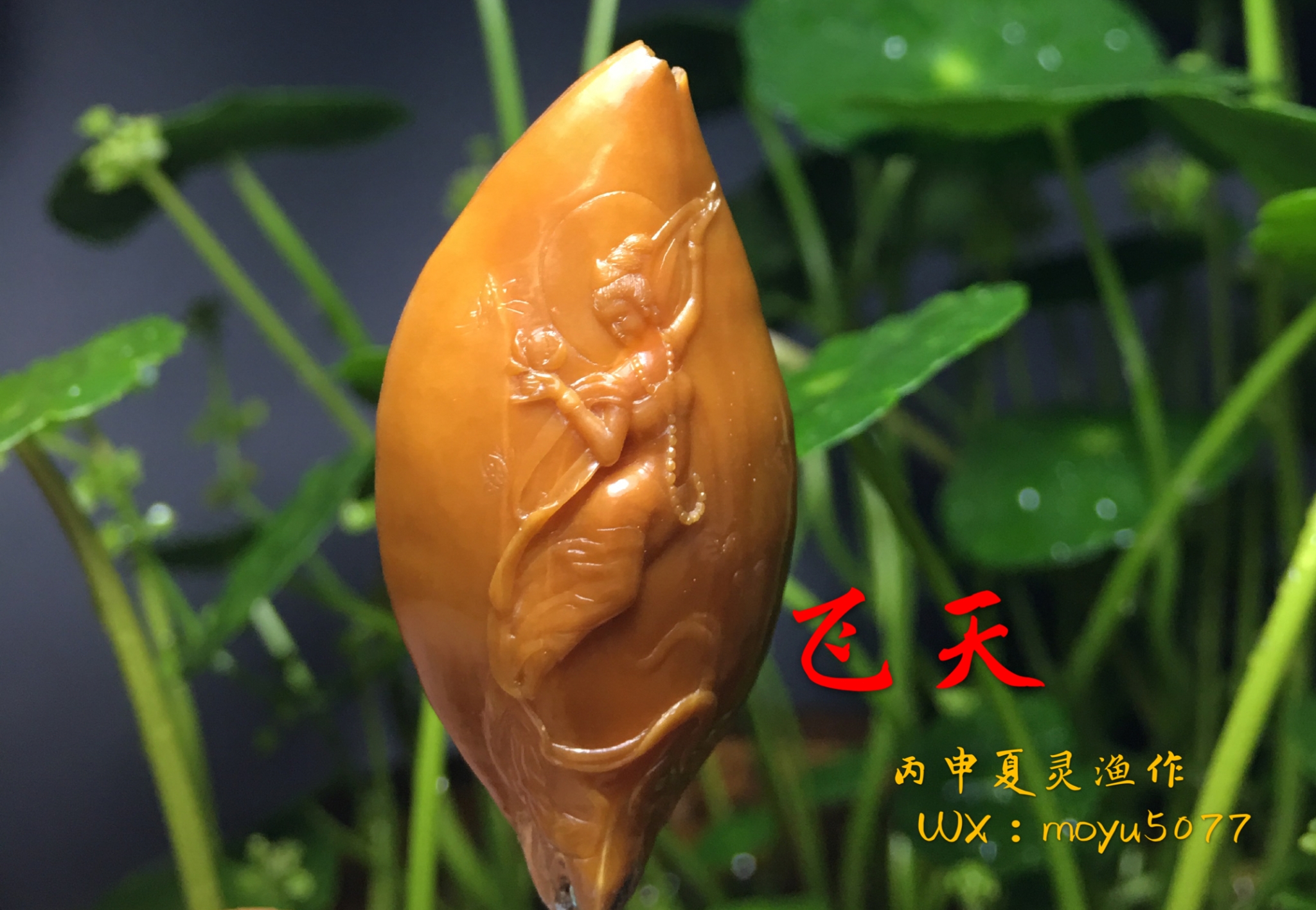微信图片_20181205083200.jpg