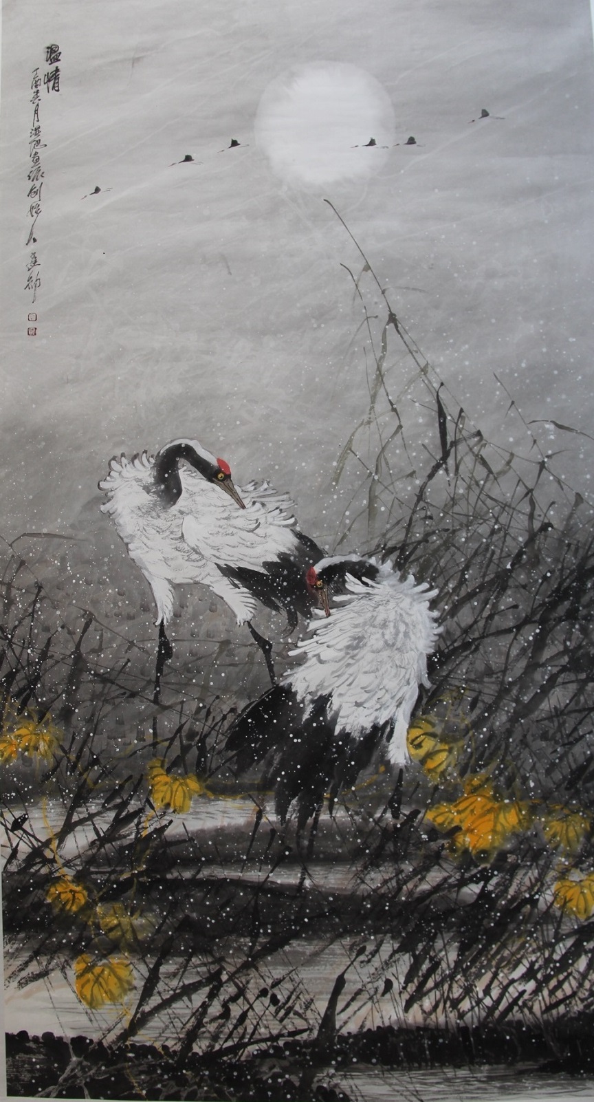 IMG_9079_看图王.jpg