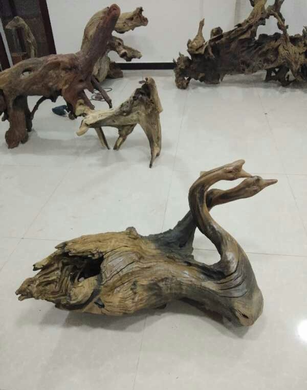 微信图片_20190419114507.jpg