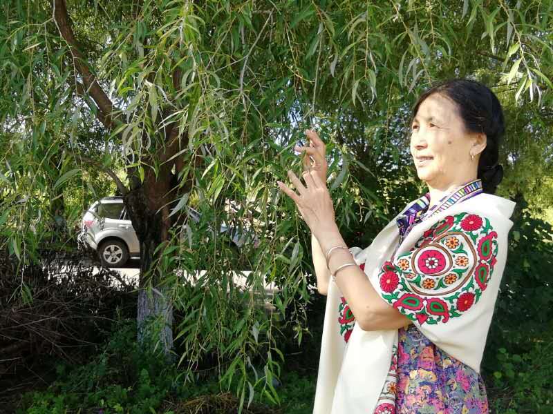 微信图片_20190429111955.jpg